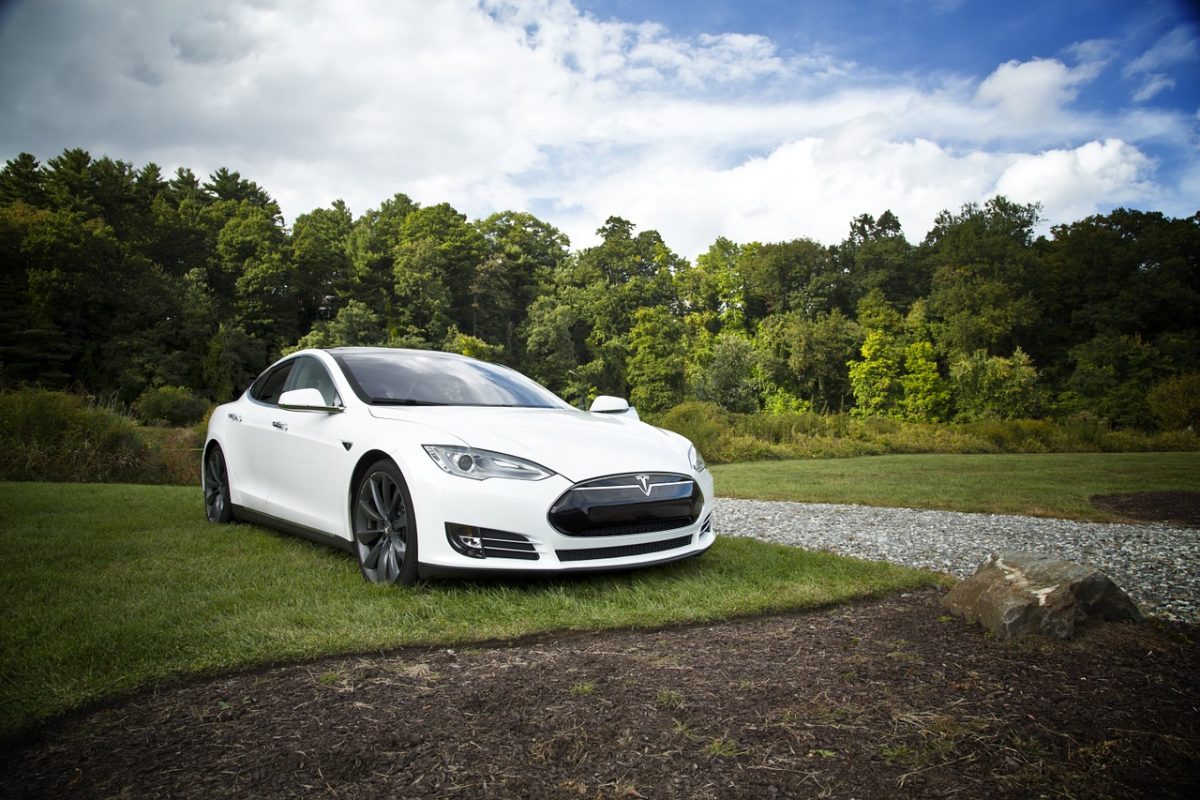 Ein Tesla auf einem Rasen